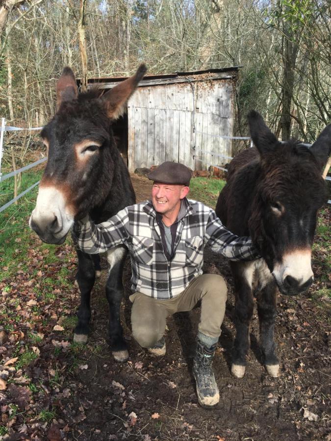 The Llama Farm France Saint-Cyr-Les-Champagnes エクステリア 写真