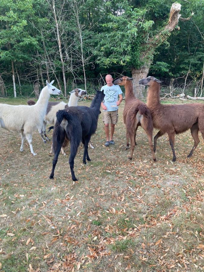 The Llama Farm France Saint-Cyr-Les-Champagnes エクステリア 写真