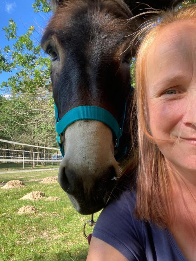 The Llama Farm France Saint-Cyr-Les-Champagnes エクステリア 写真