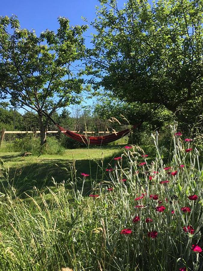 The Llama Farm France Saint-Cyr-Les-Champagnes エクステリア 写真