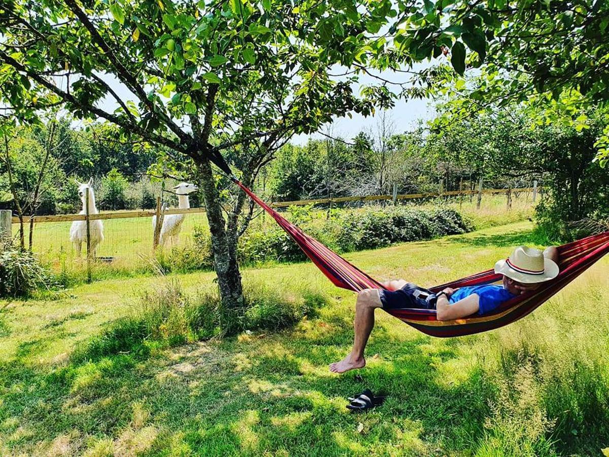 The Llama Farm France Saint-Cyr-Les-Champagnes エクステリア 写真