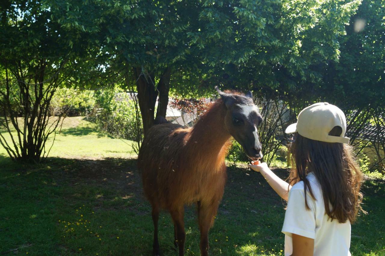 The Llama Farm France Saint-Cyr-Les-Champagnes エクステリア 写真