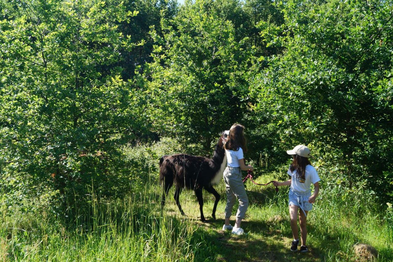 The Llama Farm France Saint-Cyr-Les-Champagnes エクステリア 写真