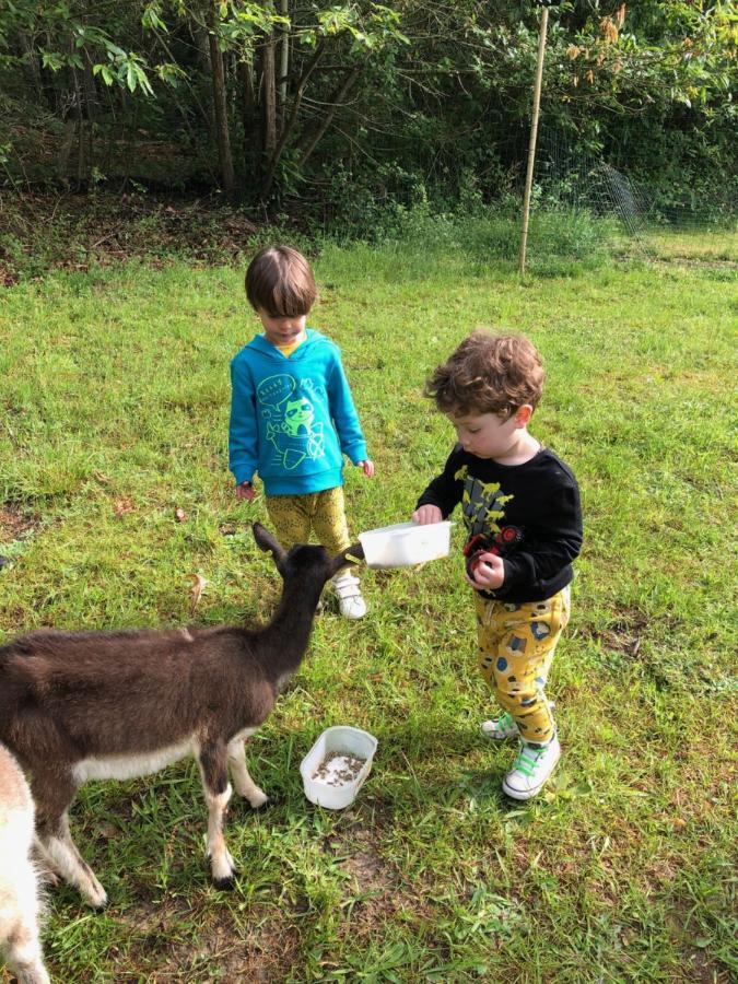The Llama Farm France Saint-Cyr-Les-Champagnes エクステリア 写真