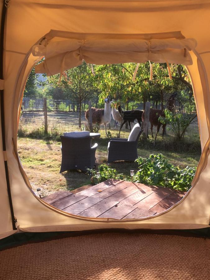 The Llama Farm France Saint-Cyr-Les-Champagnes エクステリア 写真