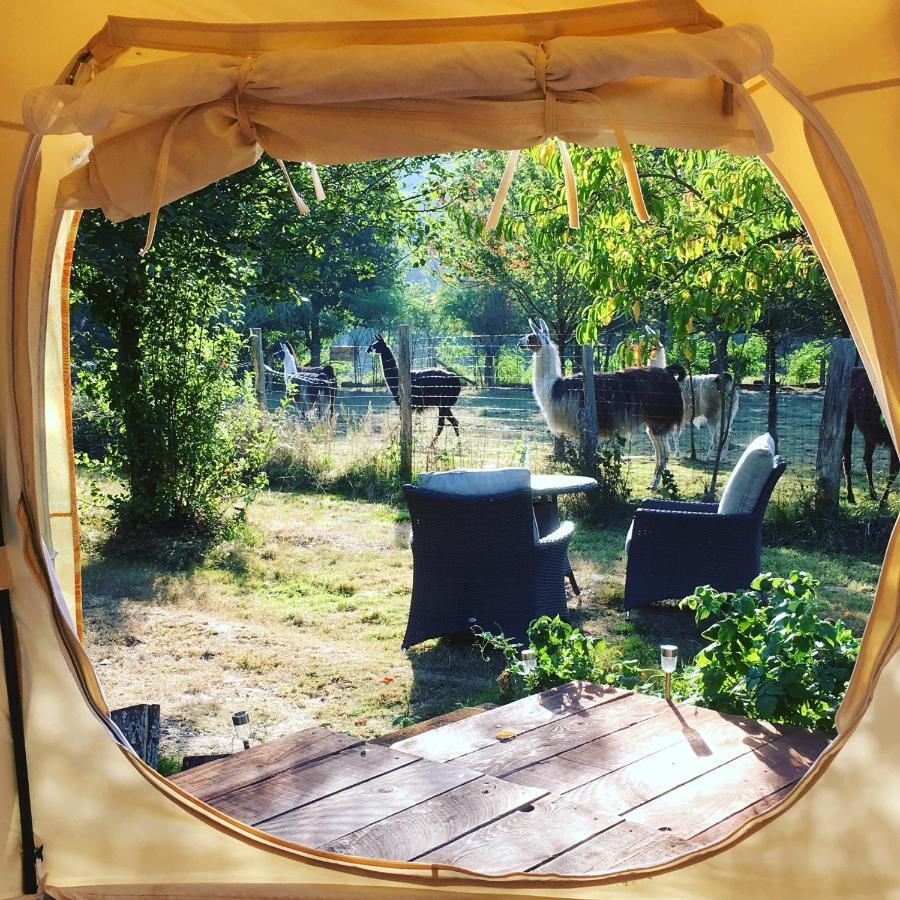 The Llama Farm France Saint-Cyr-Les-Champagnes エクステリア 写真
